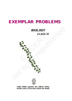 Biology exampler 11.pdf